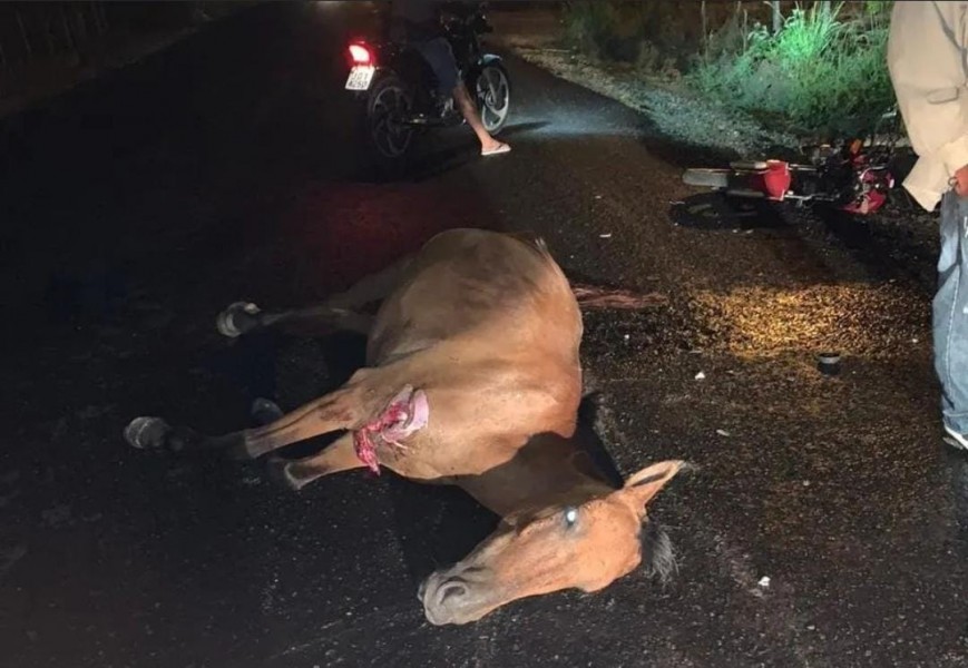 Motociclista e cavalo morrem em grave acidente de trânsito na rodovia SE-170