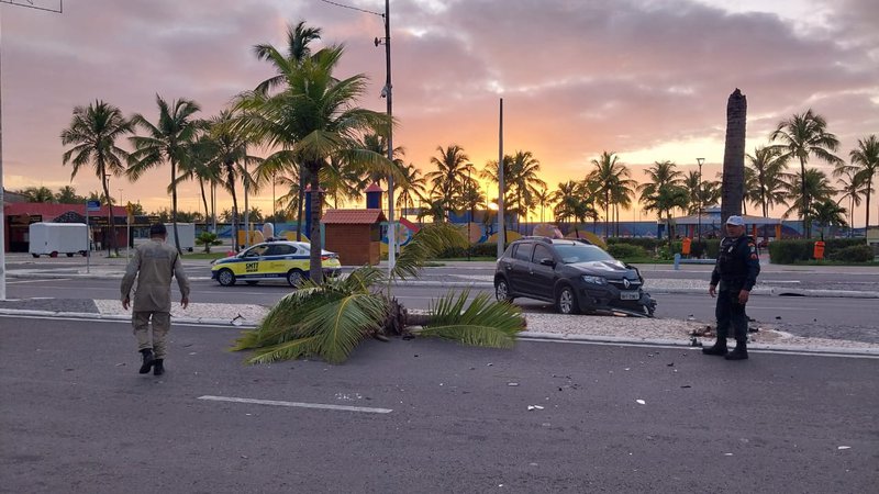 Motorista derruba coqueiro e recusa fazer teste do bafômetro em Aracaju