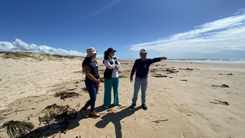 Praias do litoral norte de Sergipe são monitoradas por técnicos da Adema