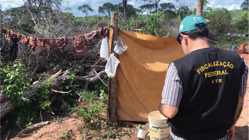 Mais de 2.500 pessoas foram resgatadas de trabalho análogo à escravidão no Brasil