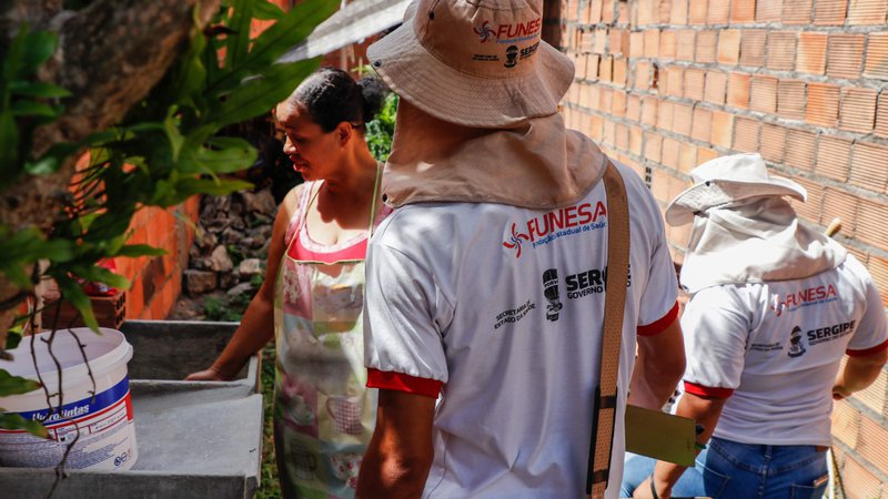 Sete municípios sergipanos tem alto índice de infestação por Aedes aegypti