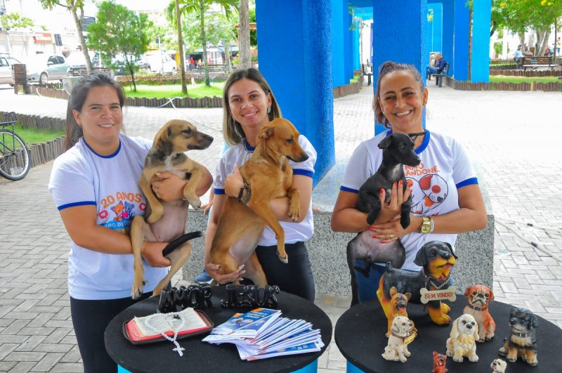 Adote um Pet: Prefeitura de Lagarto realiza feira de adoção responsável na Praça Filomeno Hora