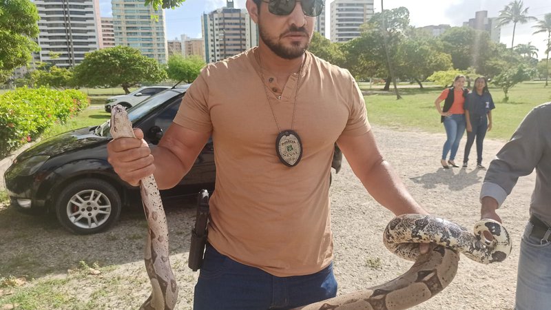 Jiboia é resgatada no Parque Augusto Franco em Aracaju