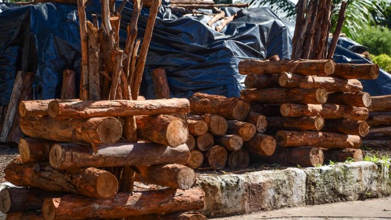 Aracaju libera três pontos para venda de fogueiras; confira os locais