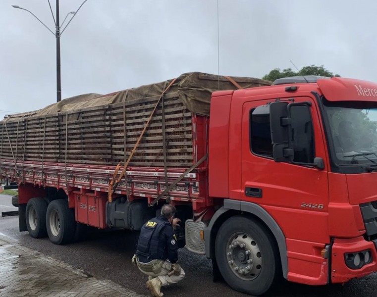 PRF flagra caminhoneiros cometendo crime ambiental em Sergipe