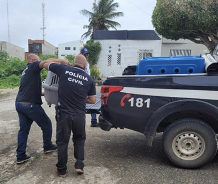 Polícia Civil resgata animais em situação de maus-tratos em Nossa Senhora da Glória