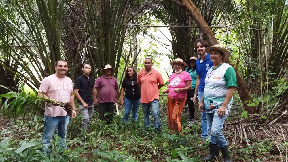 SEMAGRI de Lagarto explora potencial do açaí em visita técnica a plantio em Santa Luzia do Itanhy