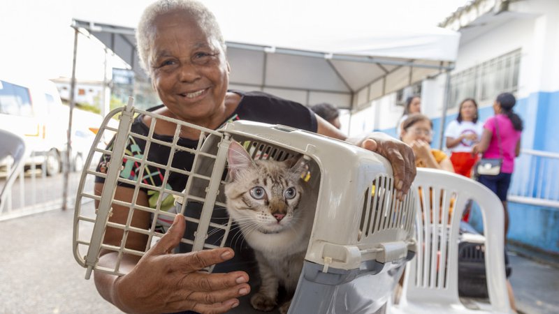 Setembro Vermelho: campanha alerta sobre doenças cardíacas em animais