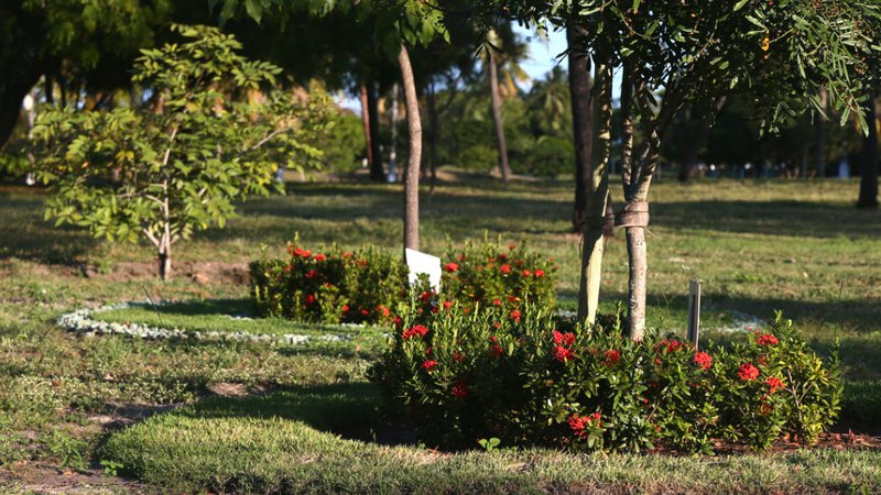 Primavera marca chegada de temperaturas mais elevadas e estiagem em Sergipe, diz meteorologia