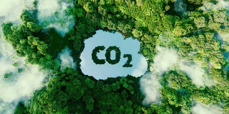 Brasil quer regular mercado de crédito de carbono