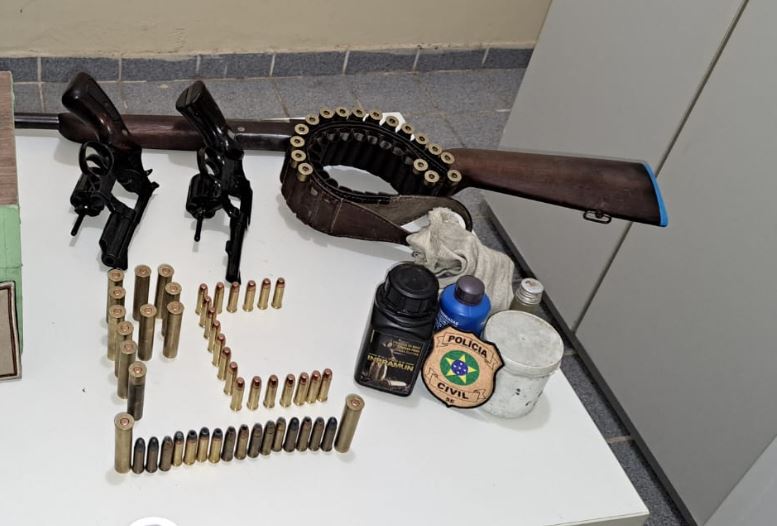 Polícia Civil apreende três armas de fogo em Feira Nova