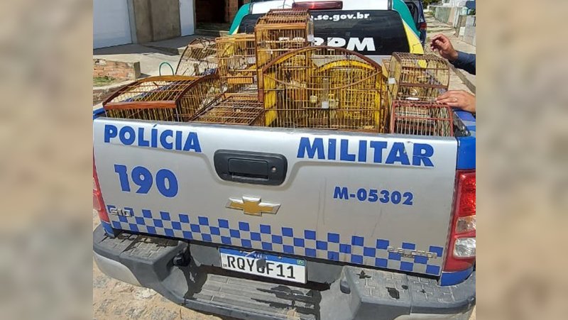 Polícia Militar apreende pássaros silvestres no Parque dos Faróis