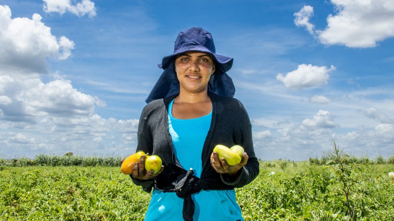 Feira da Reforma Agrária e da Agroecologia Sergipana começa nesta quarta (29)