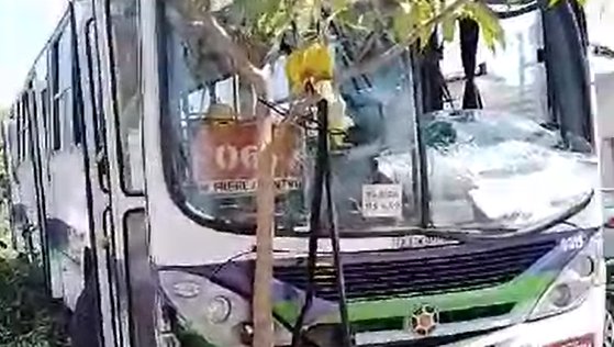 Motorista de ônibus perde controle e atinge árvores no conjunto Marcos Freire