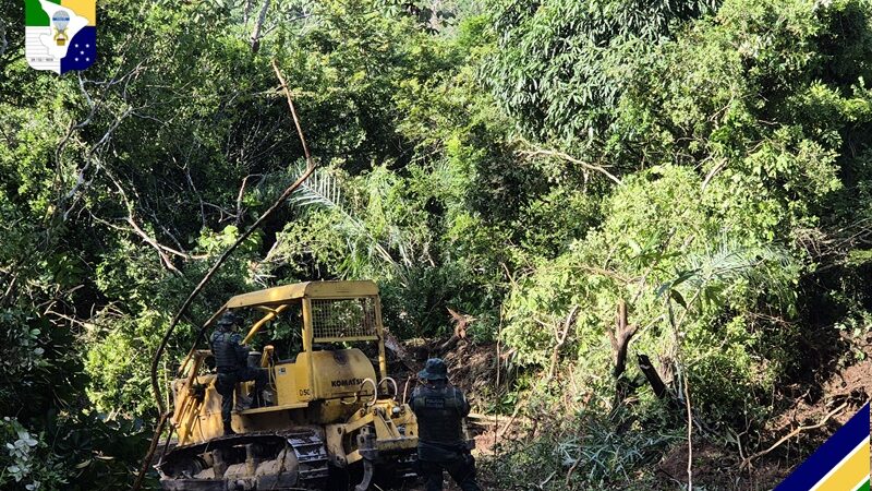 PM prende homem por crime ambiental de desmatamento em Malhador