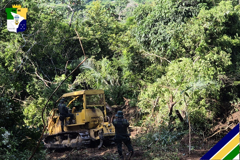 PM prende homem por crime ambiental de desmatamento em Malhador