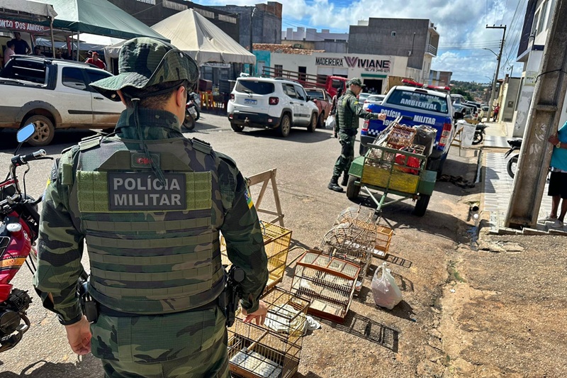 Polícia Militar resgata 56 pássaros silvestres na feira livre de Carira