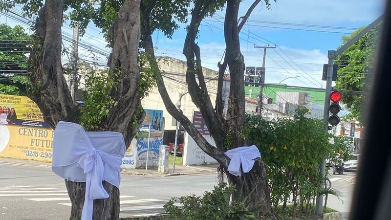 Laços brancos são colocados em árvores por adeptos do candomblé como pedido de paz e respeito