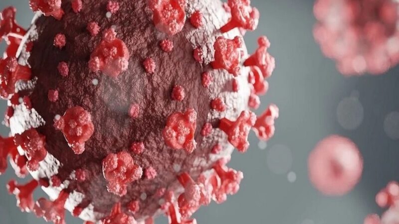 Ciência finalmente revela por que algumas pessoas pareciam “imunes” à Covid-19