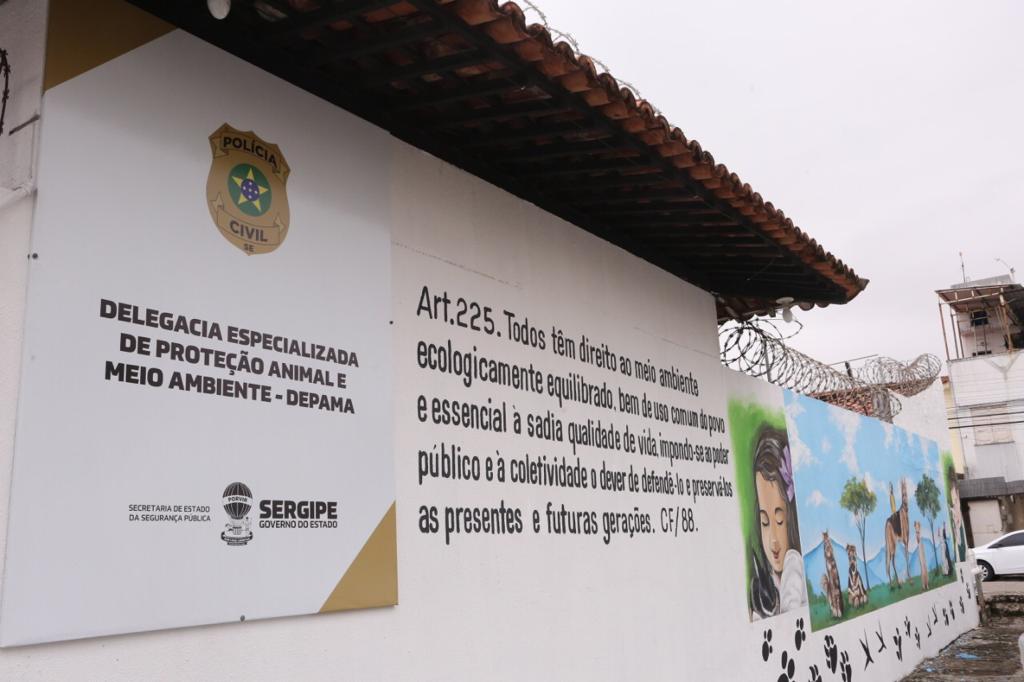 Depama resgata cão em situação de abandono no bairro Porto Dantas