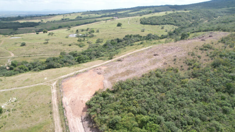 Fiscalização da Adema constata retirada irregular de vegetação em Itabaiana