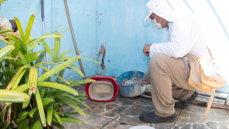 Três municípios sergipanos têm alto índice de infestação do Aedes Aegypti, aponta levantamento da SES