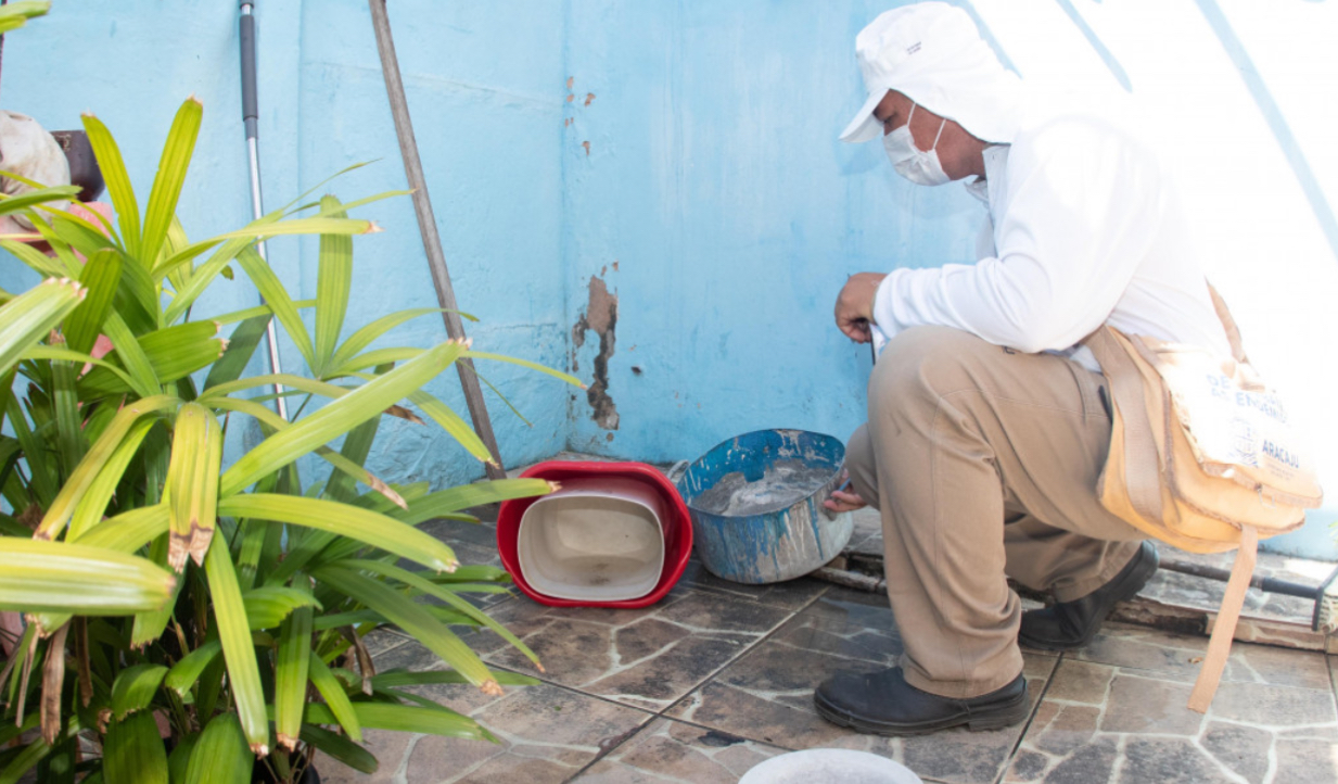 Três municípios sergipanos têm alto índice de infestação do Aedes Aegypti, aponta levantamento da SES