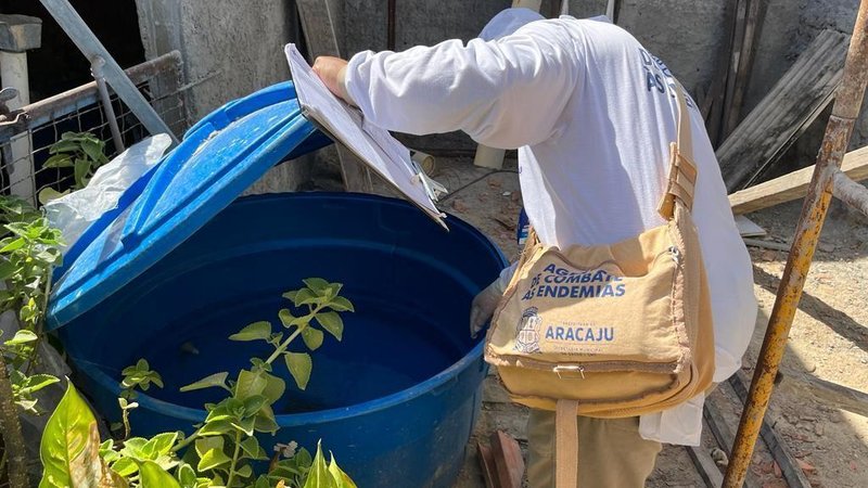 Infestação do mosquito da dengue cresce em Aracaju e bairros entram em alerta