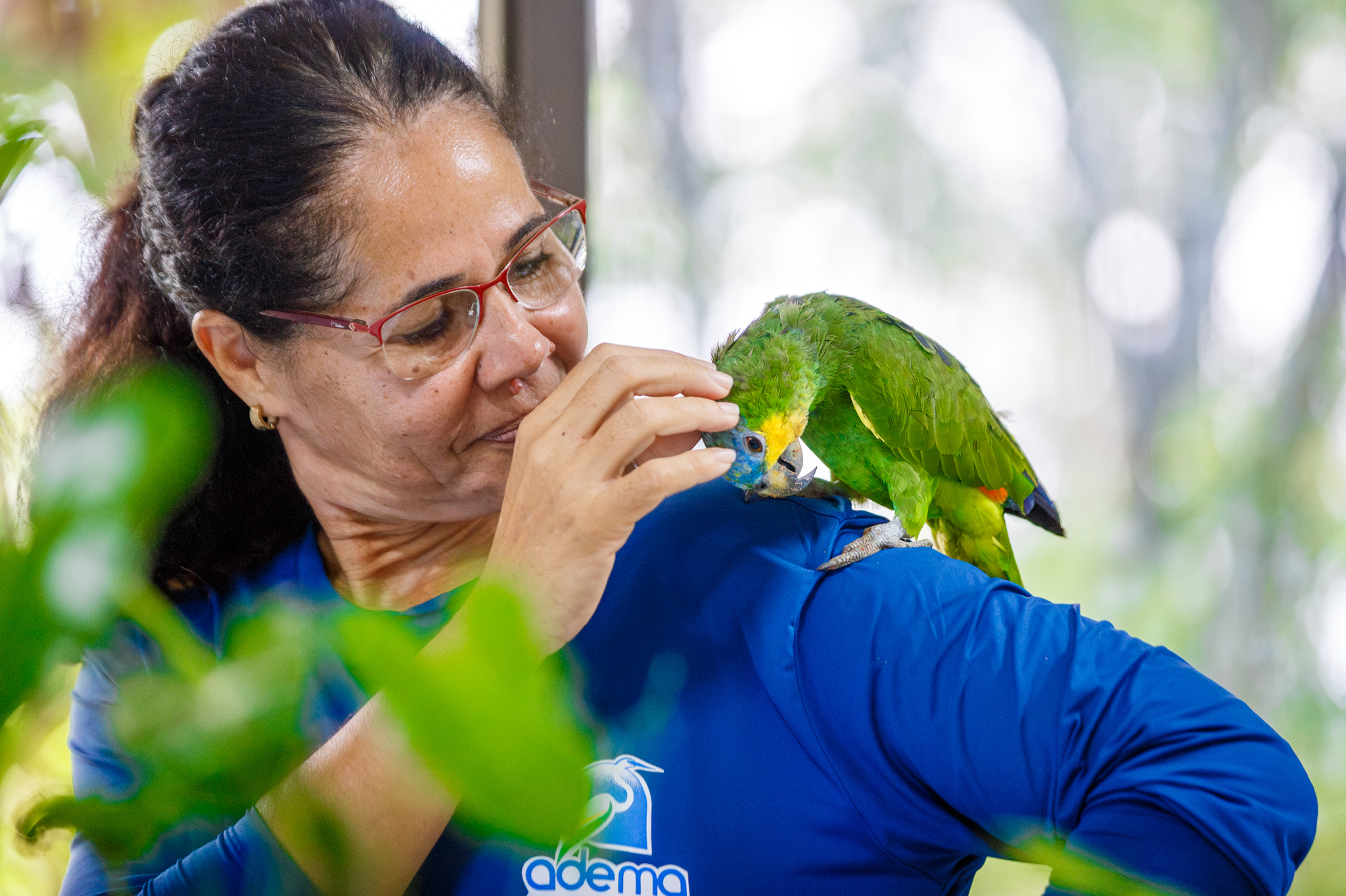 Centro de Triagem já recebeu mais de 450 animais silvestres de janeiro a abril de 2025