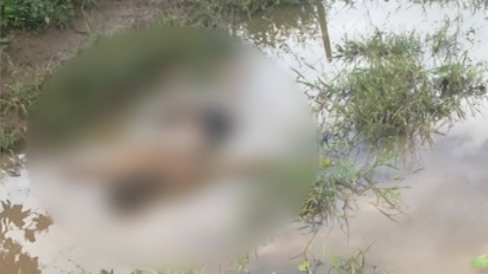Adolescente é apreendido suspeito de matar jovem com pauladas e pedradas em Lagarto; outro envolvido está detido
