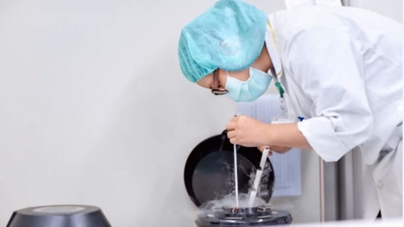 Campanha de conscientização sobre a criopreservação é lançada em Sergipe