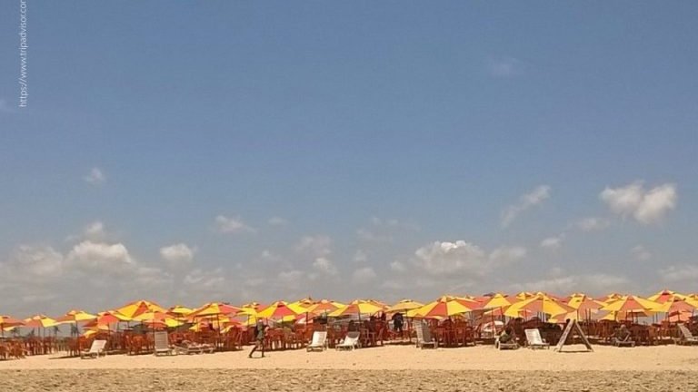 MPSE apura irregularidades em comércios nas praias da Orla de Atalaia em Aracaju