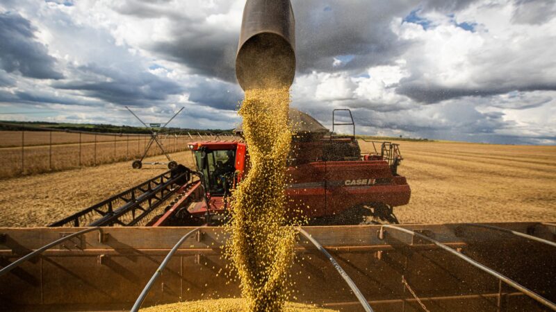 Ministro afirma que redução no preço dos alimentos deve continuar