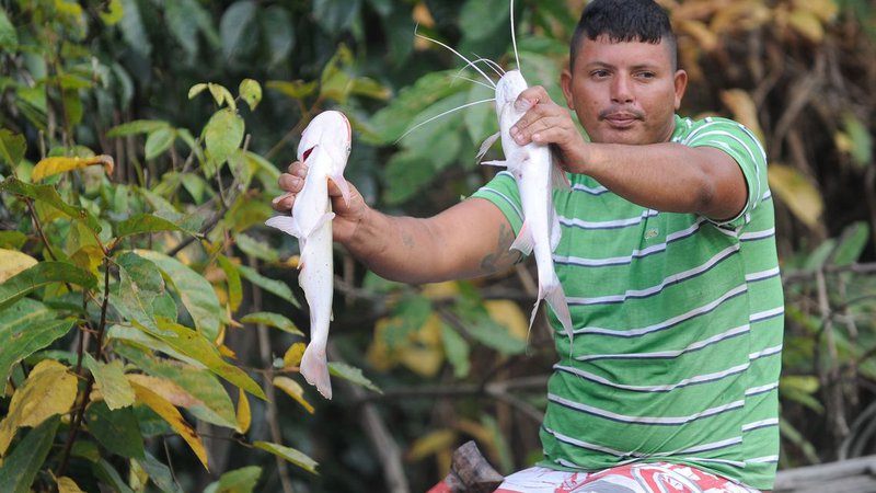 Defeso da Piracema 2025: Pesca comercial é restrita no país, com impacto em 28 cidades sergipanas