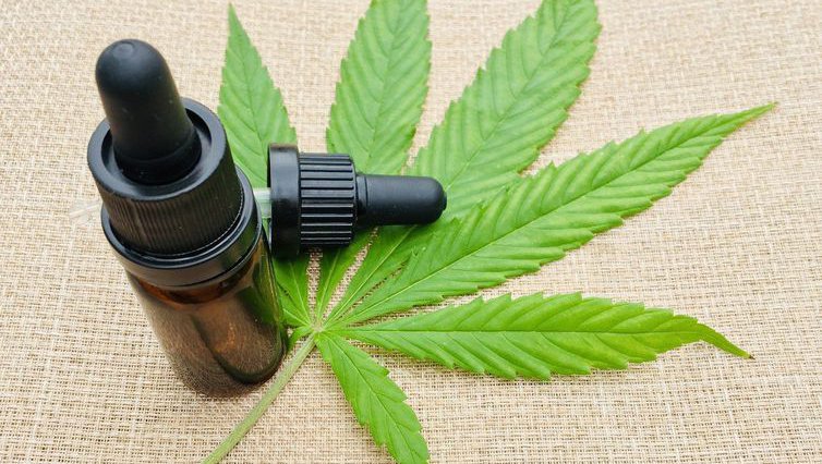 Anvisa proíbe venda de produtos de cannabis e cogumelos