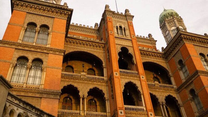 Anvisa libera testes clínicos da Fiocruz com terapia gênica para AME Tipo 1