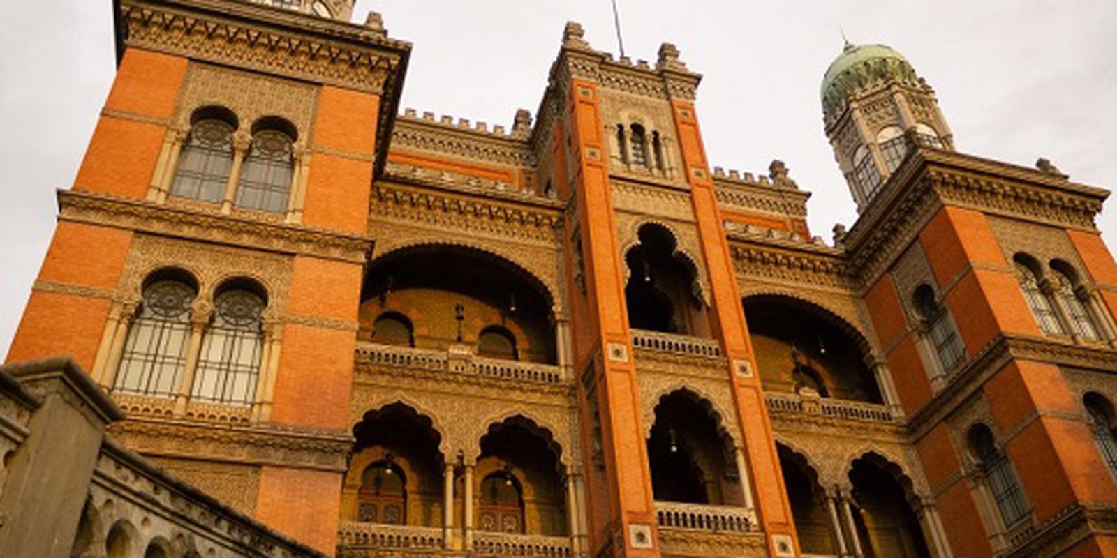 Anvisa libera testes clínicos da Fiocruz com terapia gênica para AME Tipo 1