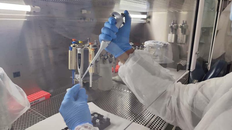 Governo monitora “gripe K” em Sergipe e confirma que não há casos no estado