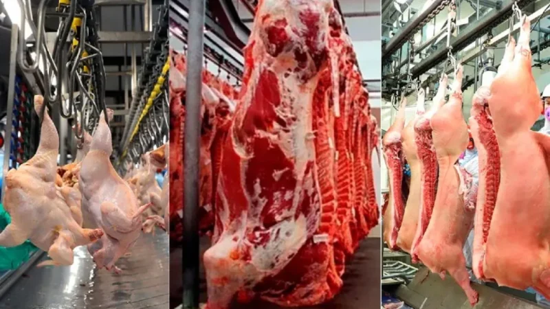 Produção pecuária de Sergipe bate recordes no 3º trimestre de 2025