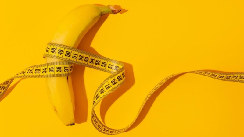 Novo estudo internacional discute impacto das dimensões genitais na percepção biológica