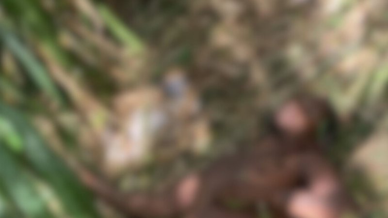 Homem é encontrado morto com perfuração no peito em terreno baldio em Maruim