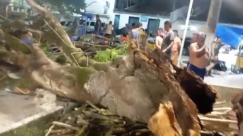 Árvore cai na Praça da Matriz e deixa comerciante ferido em São Cristóvão