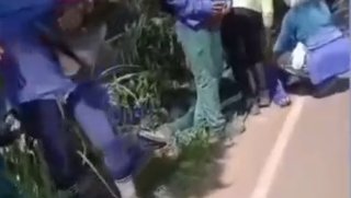 Ataque de abelhas em ônibus deixa um morto e mais de 20 feridos em Capela