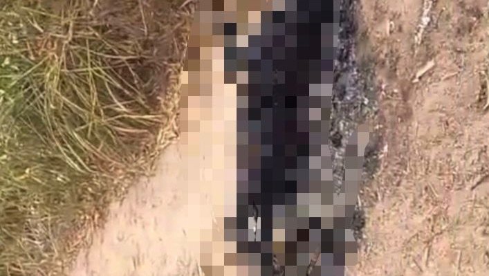 Corpo de homem é encontrado carbonizado na BR-235, em Laranjeiras