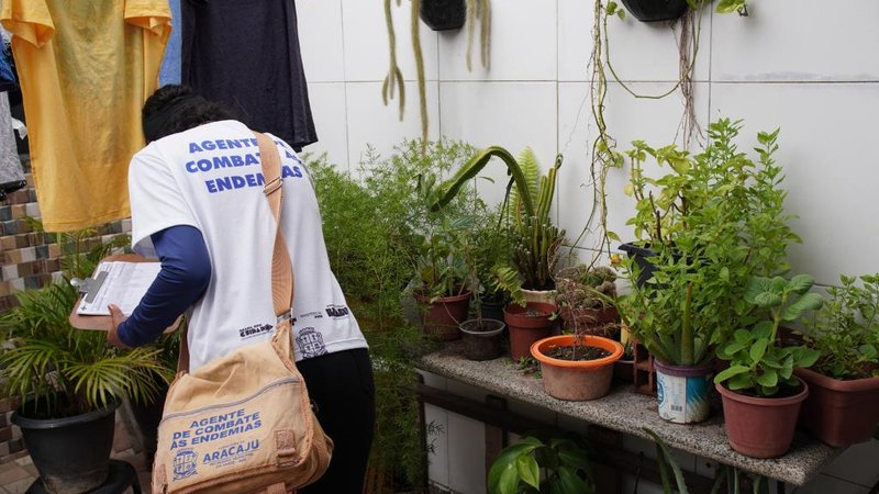 Levantamento registra médio risco de infestação de Aedes aegypti em Aracaju
