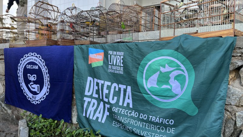 Operação apreende mais de 500 animais silvestres no sertão de Sergipe