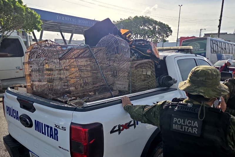 PMSE resgata mais de 150 aves silvestres e coíbe crimes ambientais no Agreste sergipano durante o fim de semana