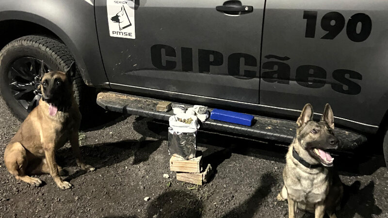 Com ajuda de cão farejador, PMSE apreende drogas em Cristinápolis durante a Operação Protetor de Divisas
