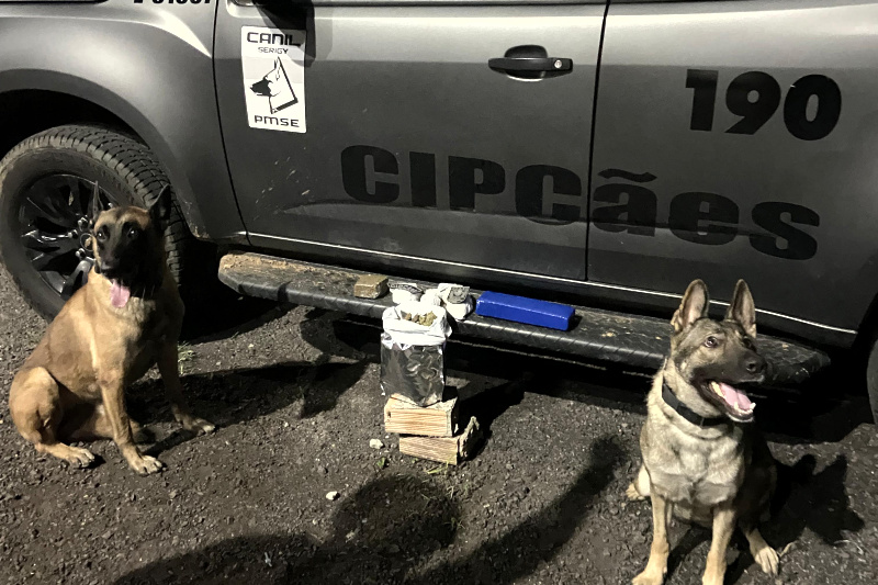 Com ajuda de cão farejador, PMSE apreende drogas em Cristinápolis durante a Operação Protetor de Divisas