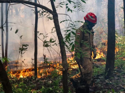 Amazonas em alerta! Incêndio se espalha e ameaça casas no interior do estado